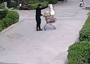 Adorable Video Of Kids Rushing To Help Man Pick Fruits Will Tug At Your Heartstrings