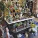 Sweet Magnolias: New shop brings home decor options to Morristown
