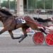 Fashion Annie stays undefeated with sharp PASS win at The Meadows