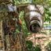 The best trail cameras for keeping an eye on your backyard wildlife